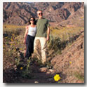 In Death Valley, California for the hundred year bloom 