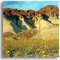 Death Valley, California 