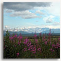 Denali Hwy, Alaska