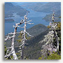 Harbor Mtn, Sitka, Alaska