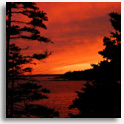 Acadia National Park, ME
